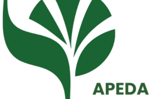 Untitled design - 2025-12-03T121455.455