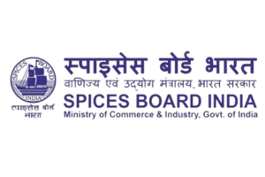 Untitled design - 2025-12-03T181217.957